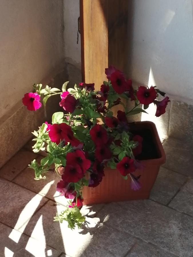 La Torre Daire Norma Dış mekan fotoğraf