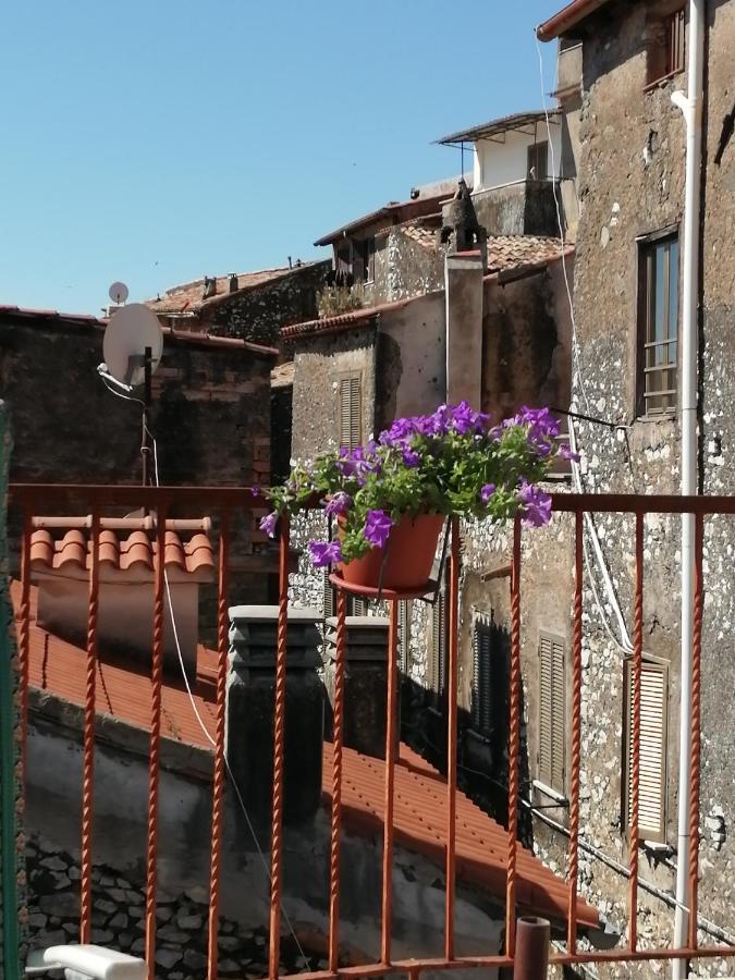 La Torre Daire Norma Dış mekan fotoğraf